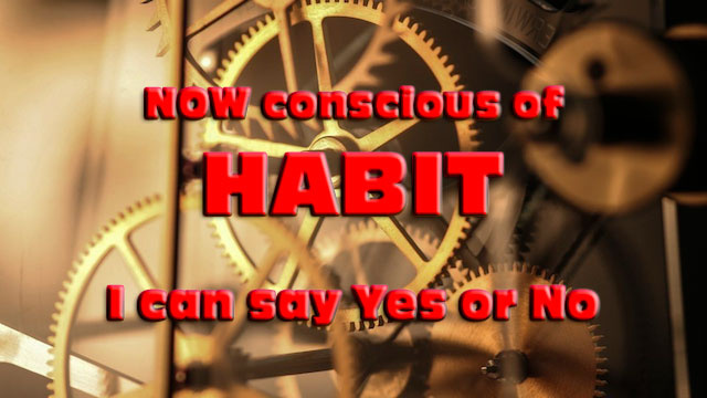 Habits? Yes or No!